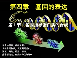 一基因控制蛋白质的合成