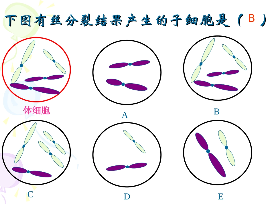 减数分裂的过程_第2页