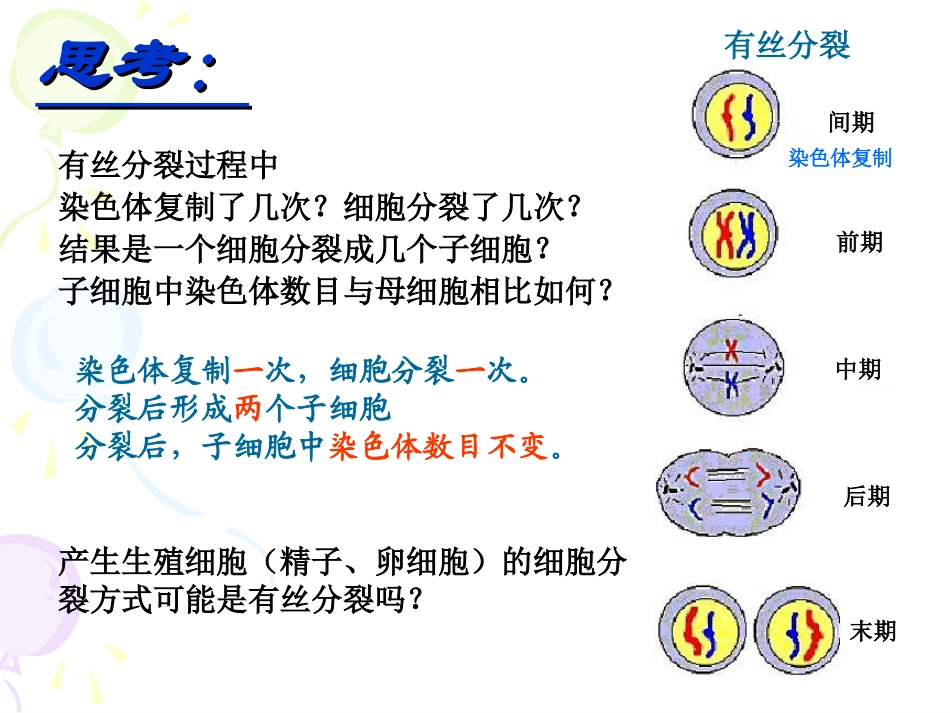 减数分裂的过程_第3页