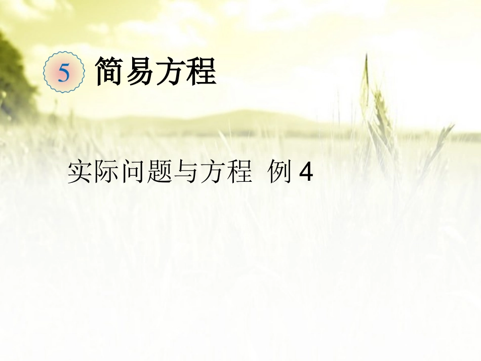 稍复杂的方程_第1页