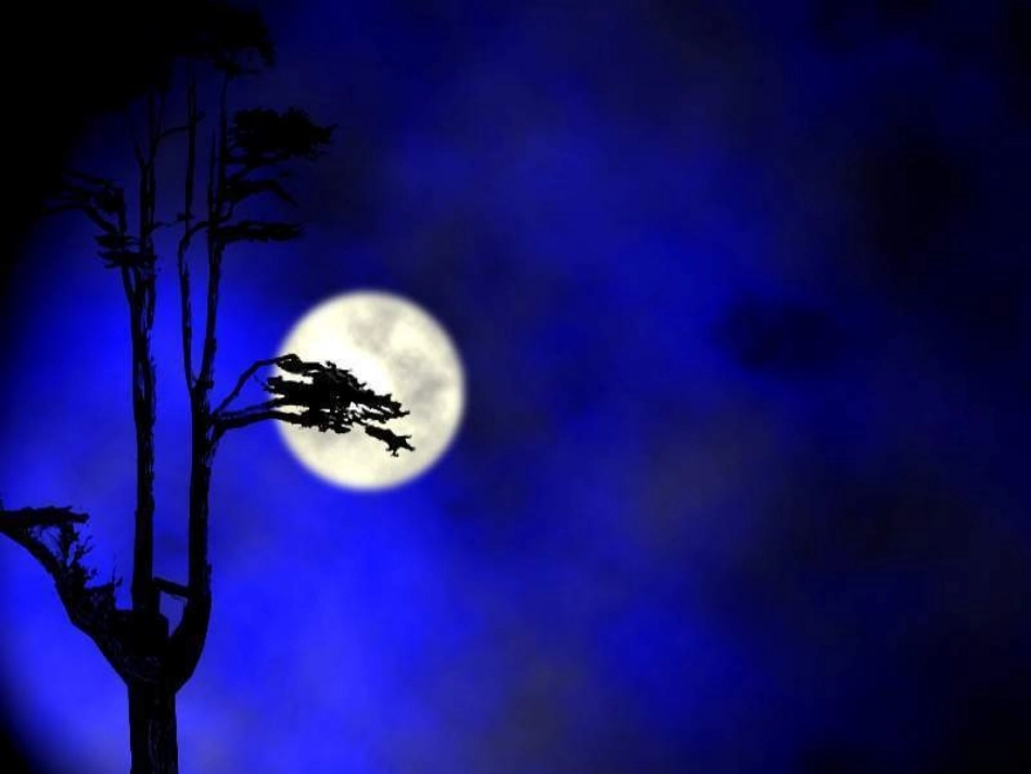 记承天寺夜游_第2页