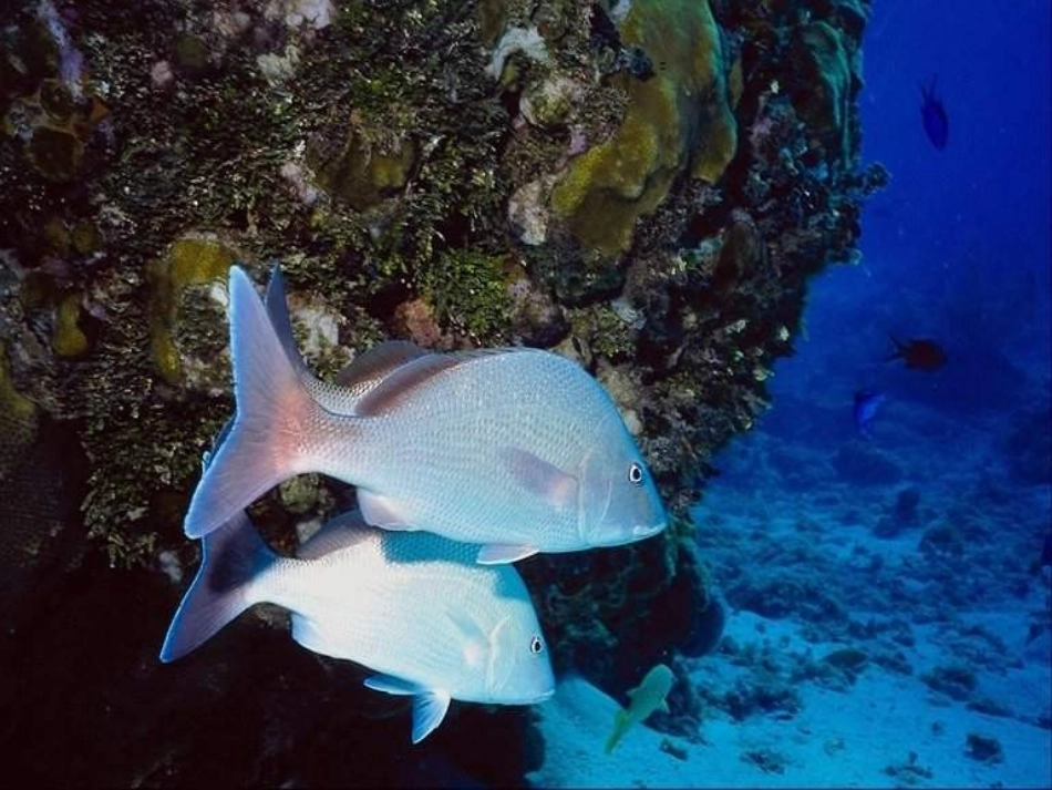 三、大气压强_第3页