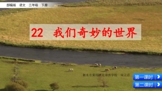 22我们奇妙的世界