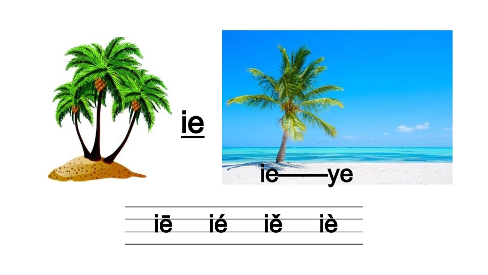 11ieüeer_第3页