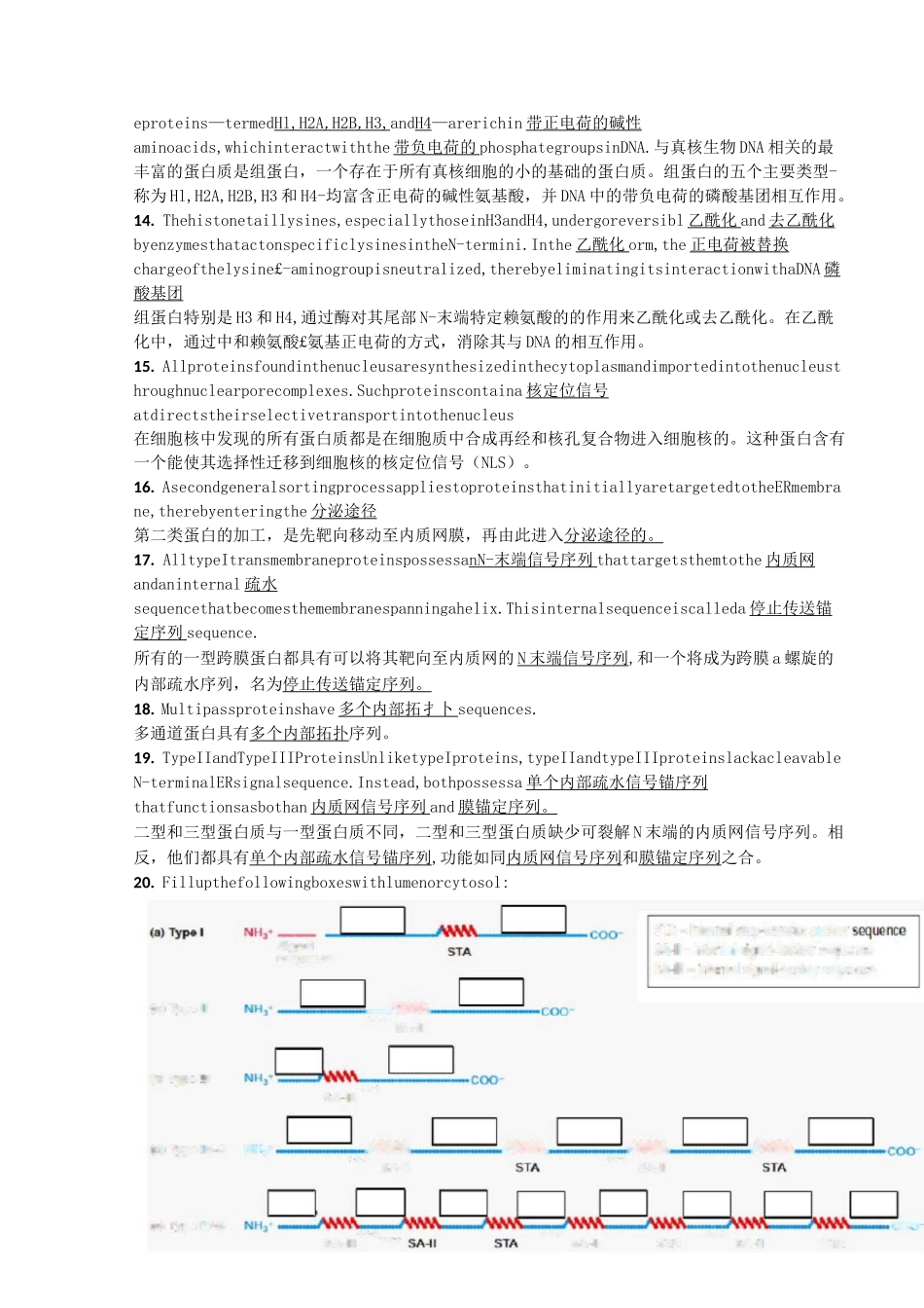 细胞生物学重点(重置版)_第3页