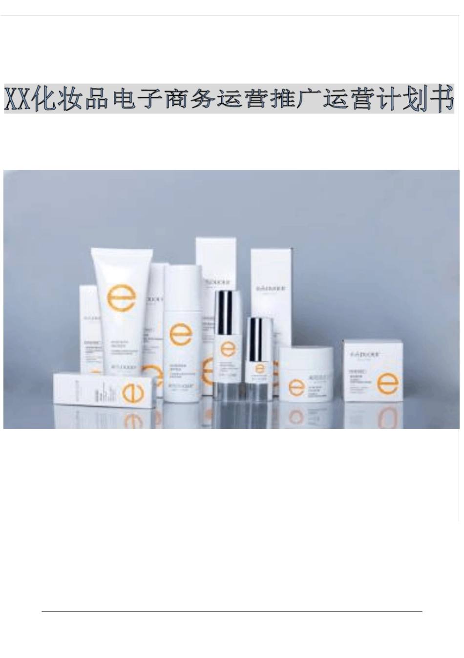 互联网+化妆品电子商务运营计划书_第1页