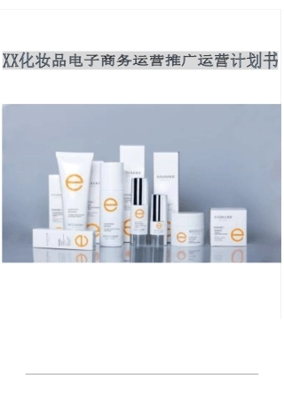 互联网+化妆品电子商务运营计划书