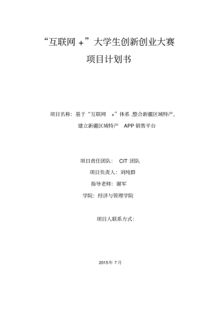 互联网+项目计划书