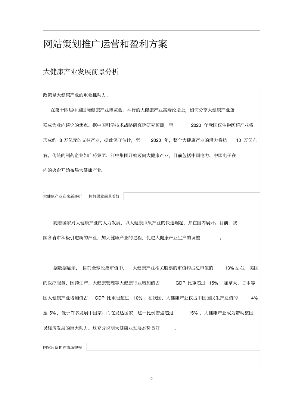 互联网大健康营销方案汇总_第2页