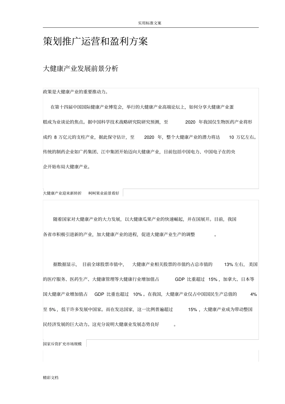 互联网大健康营销方案设计_第2页
