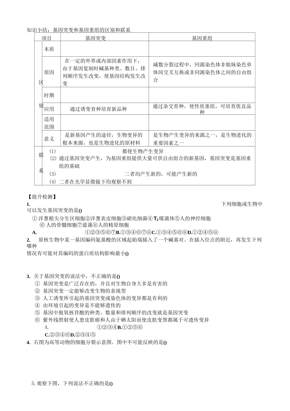 基因突变和基因重组学案及答案_第3页