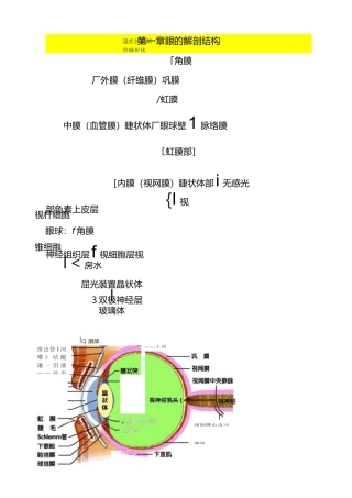 第一章：眼的解剖结构