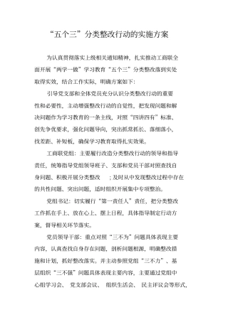 五个三分类整改行动的实施方案