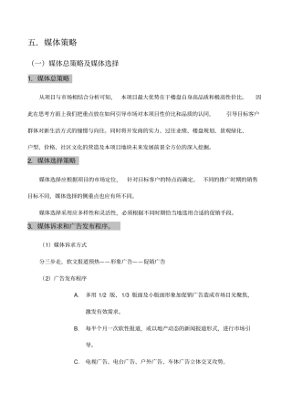 五媒体策略规划