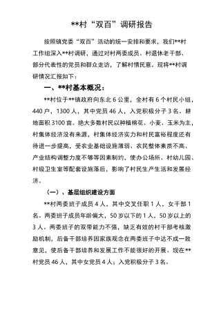 村级调研报告