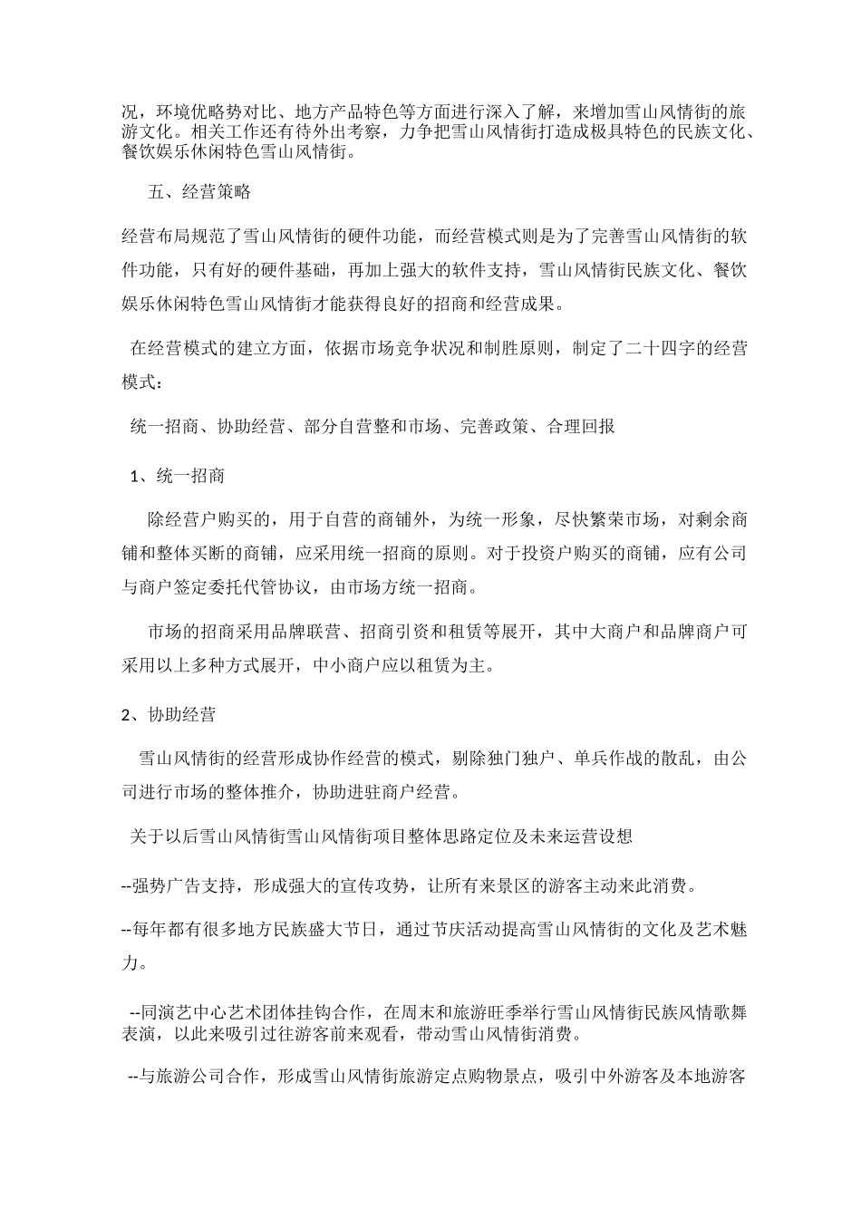 雪山风情街运营方案_第2页