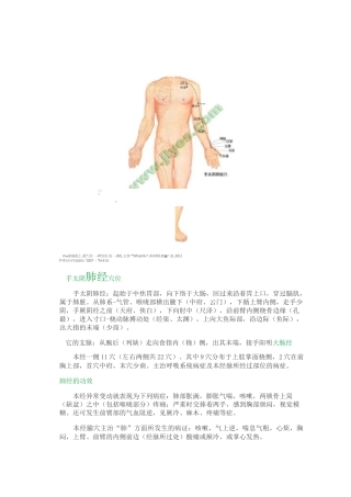 手太阴肺经穴位讲解