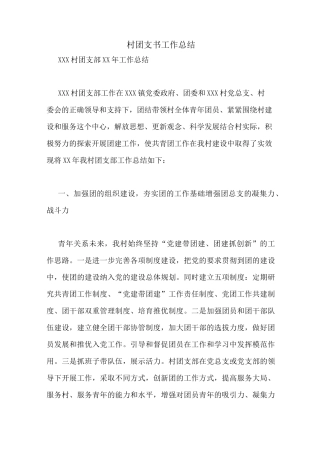 村团支书工作总结