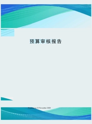 预算审核报告