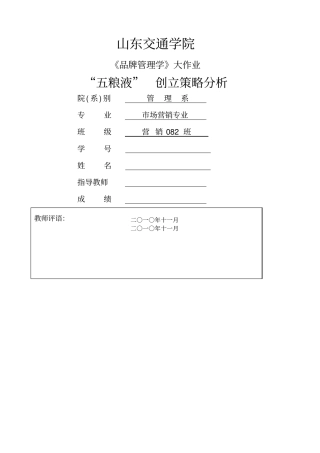 五粮液创立策略规划分析