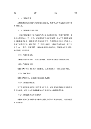 五粮液集团战略策划书