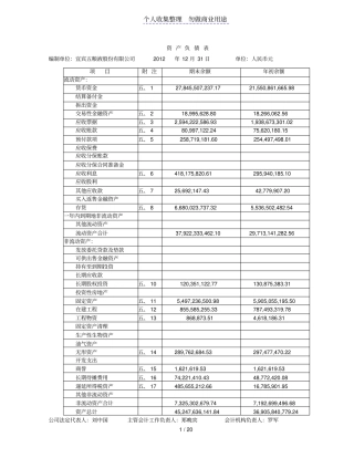 五粮液集团财务报表