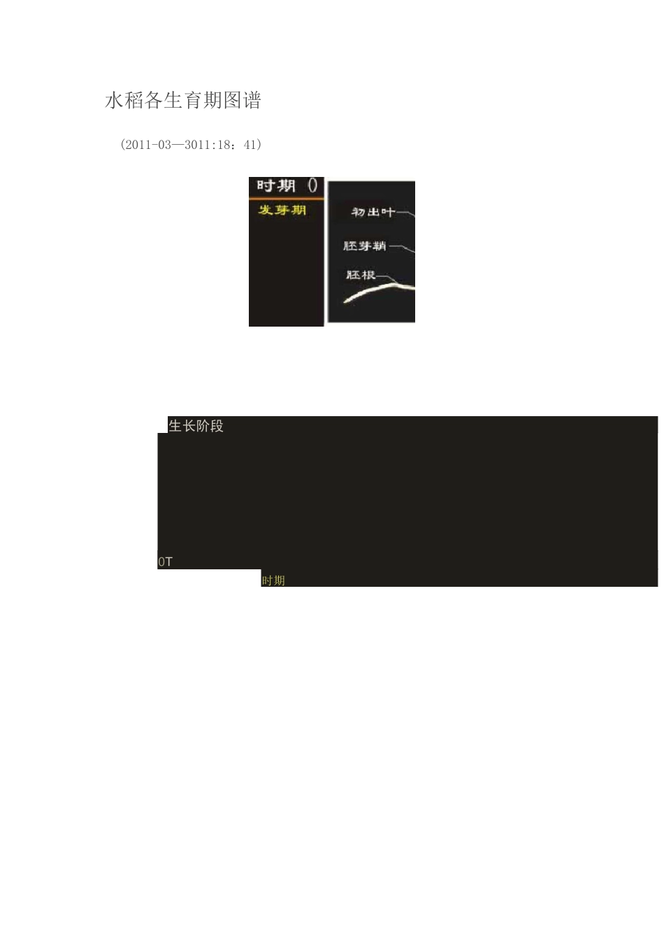 水稻各生育期图谱_第1页