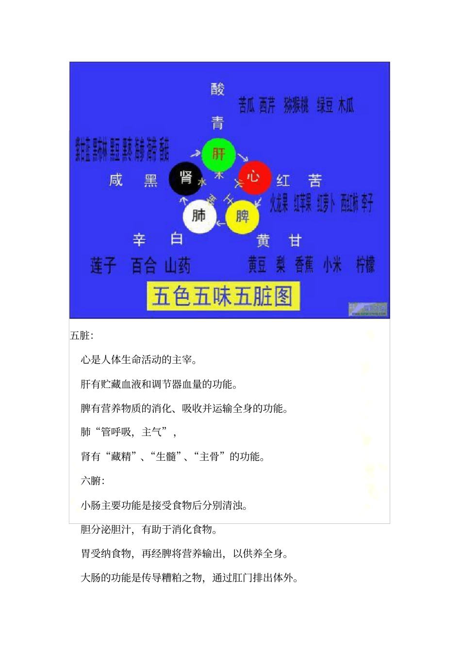 五行相生相克-五脏六腑_第3页