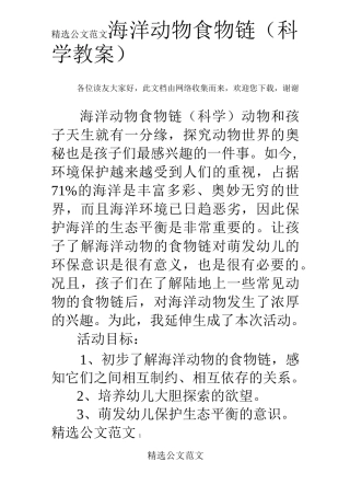 海洋动物食物链(科学教案)