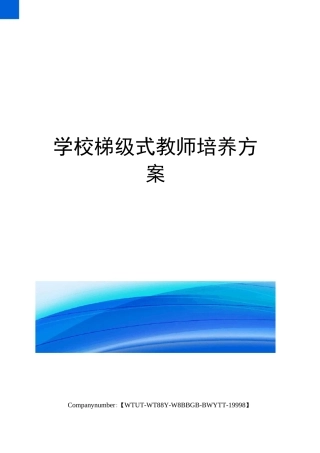 学校梯级式教师培养方案