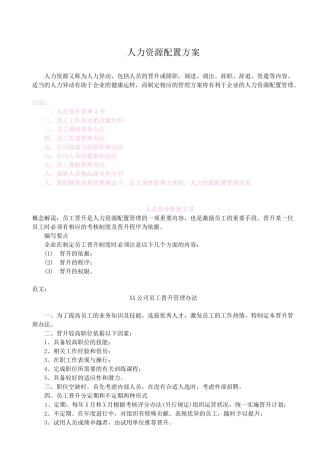 人力资源配置方案