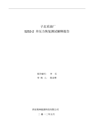 井试井解释研究报告