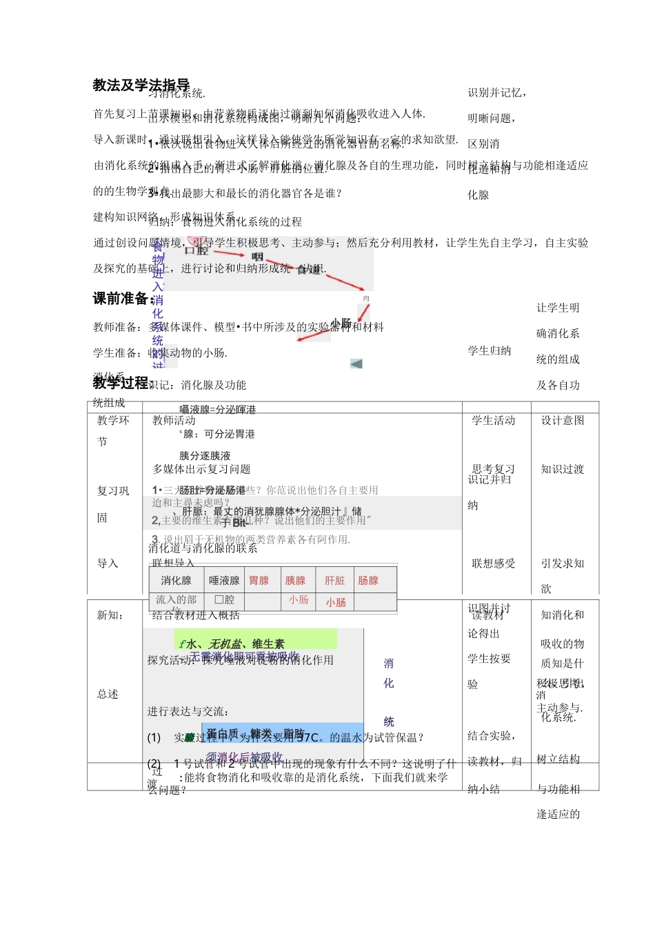 消化和吸收教案_第2页