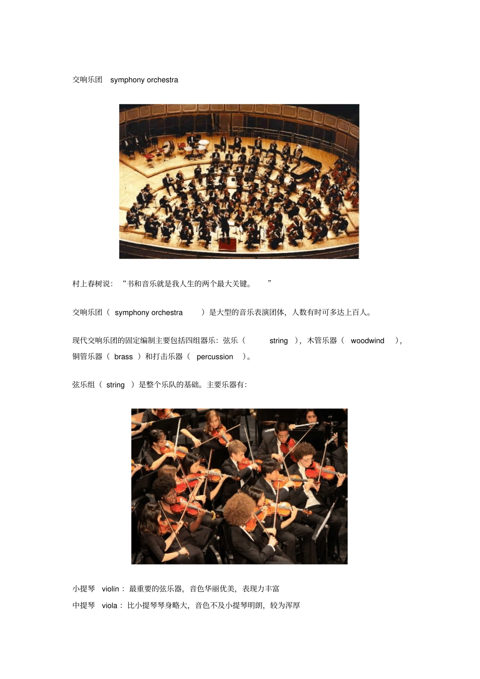 交响乐团symphonyorchestra_第1页