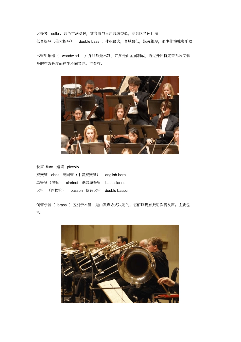 交响乐团symphonyorchestra_第2页