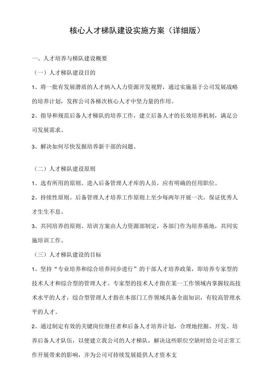 核心人才梯队建设实施方案(详细版)_第1页