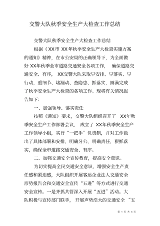 交警大队秋季安全生产大检查工作总结