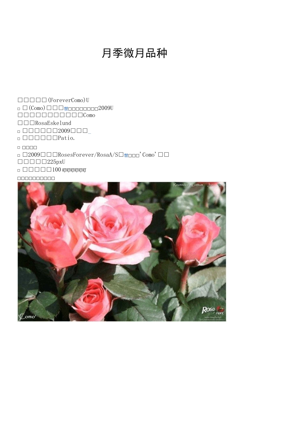 月季微月品种_第1页