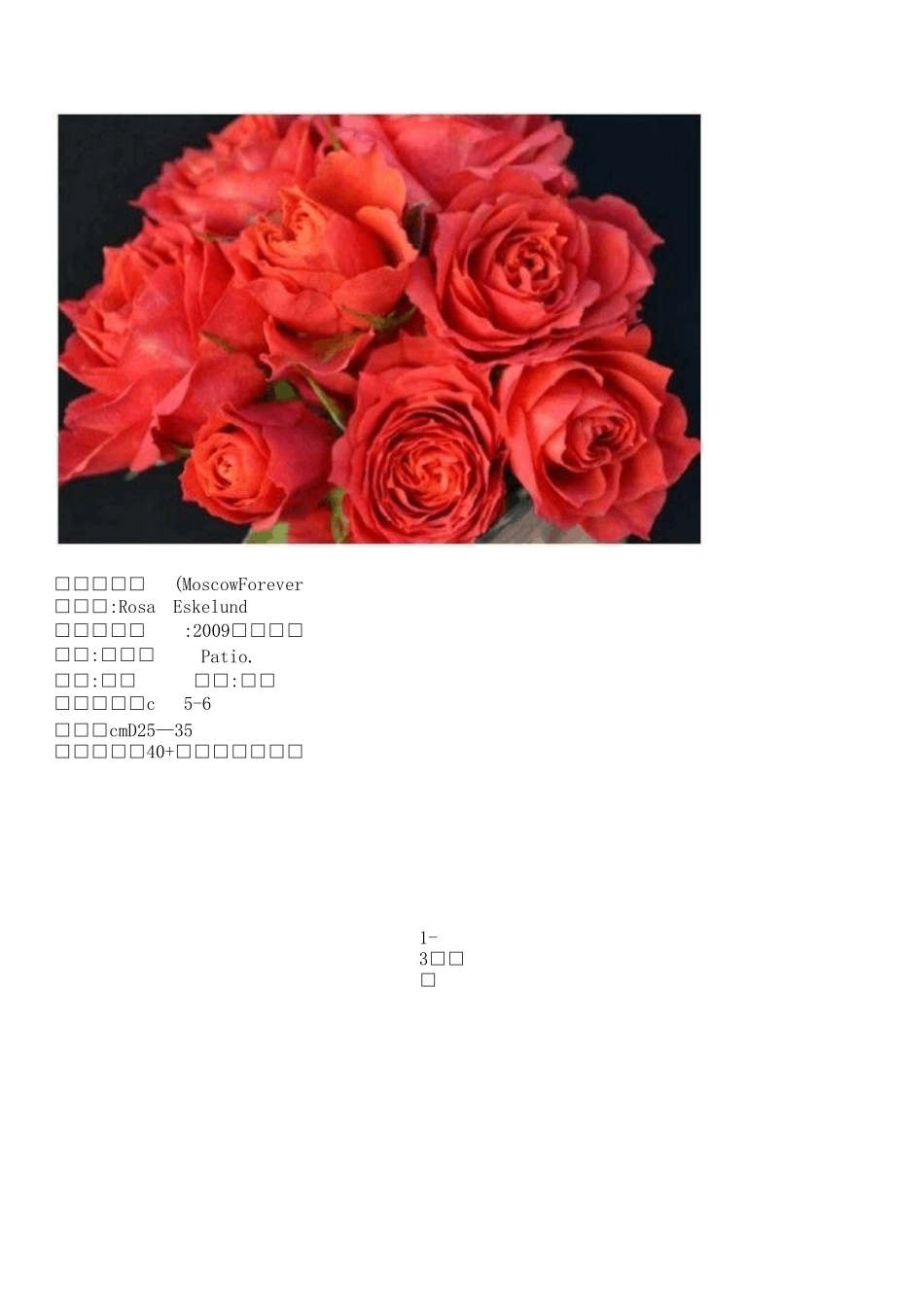 月季微月品种_第3页