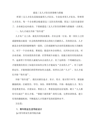 建造三支人才队伍的策略和措施