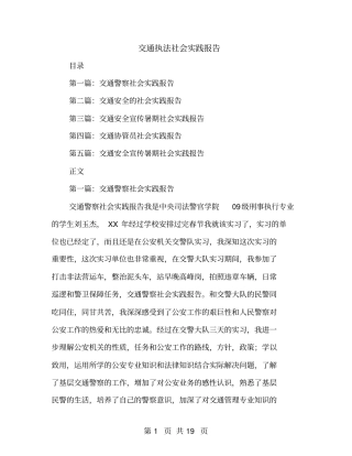 交通执法社会实践报告