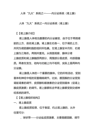 人体“九大”系统之一——内分泌系统(肾上腺)