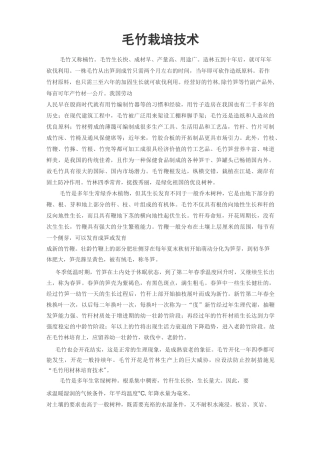 毛竹栽培技术