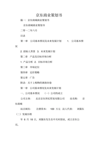 京东商业策划书