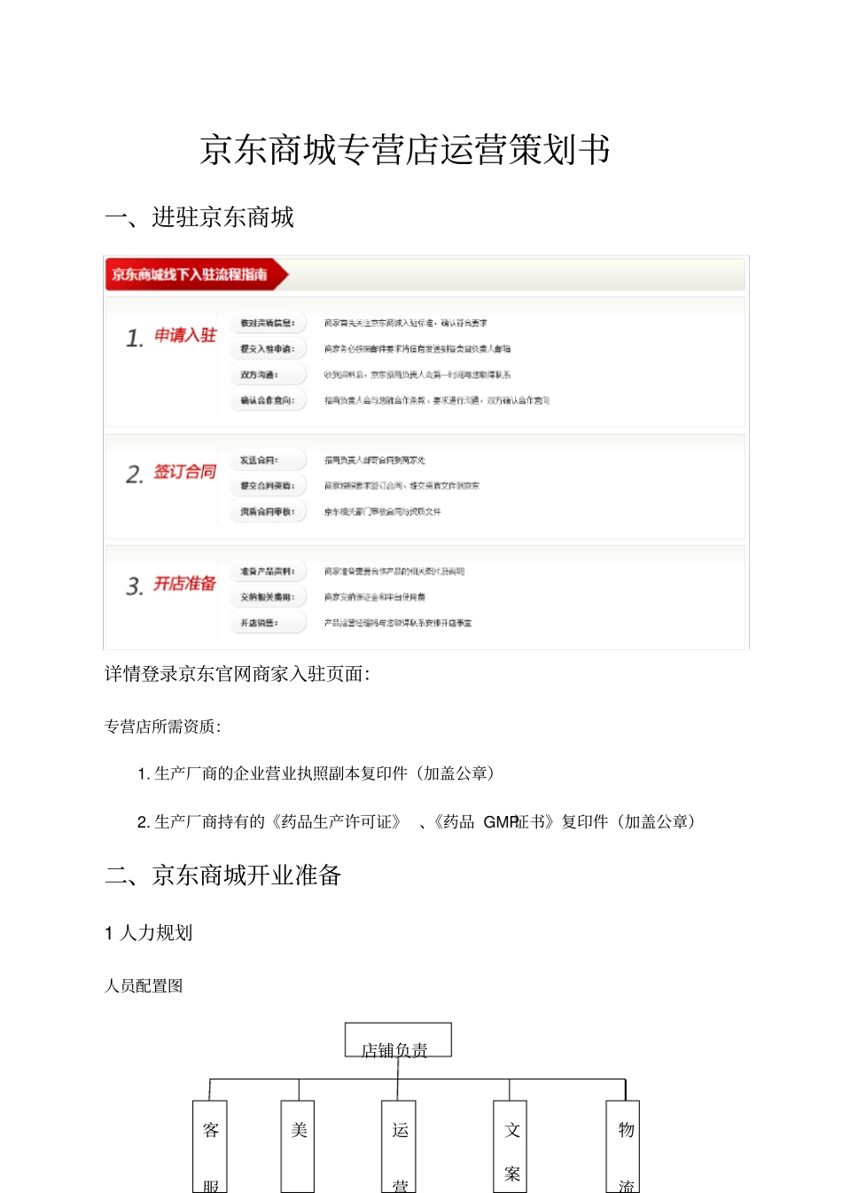 京东商城运营策划书_第1页