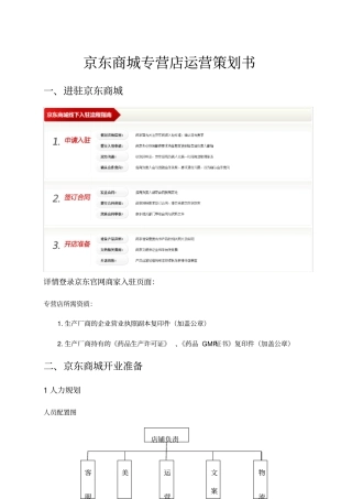 京东商城运营策划书