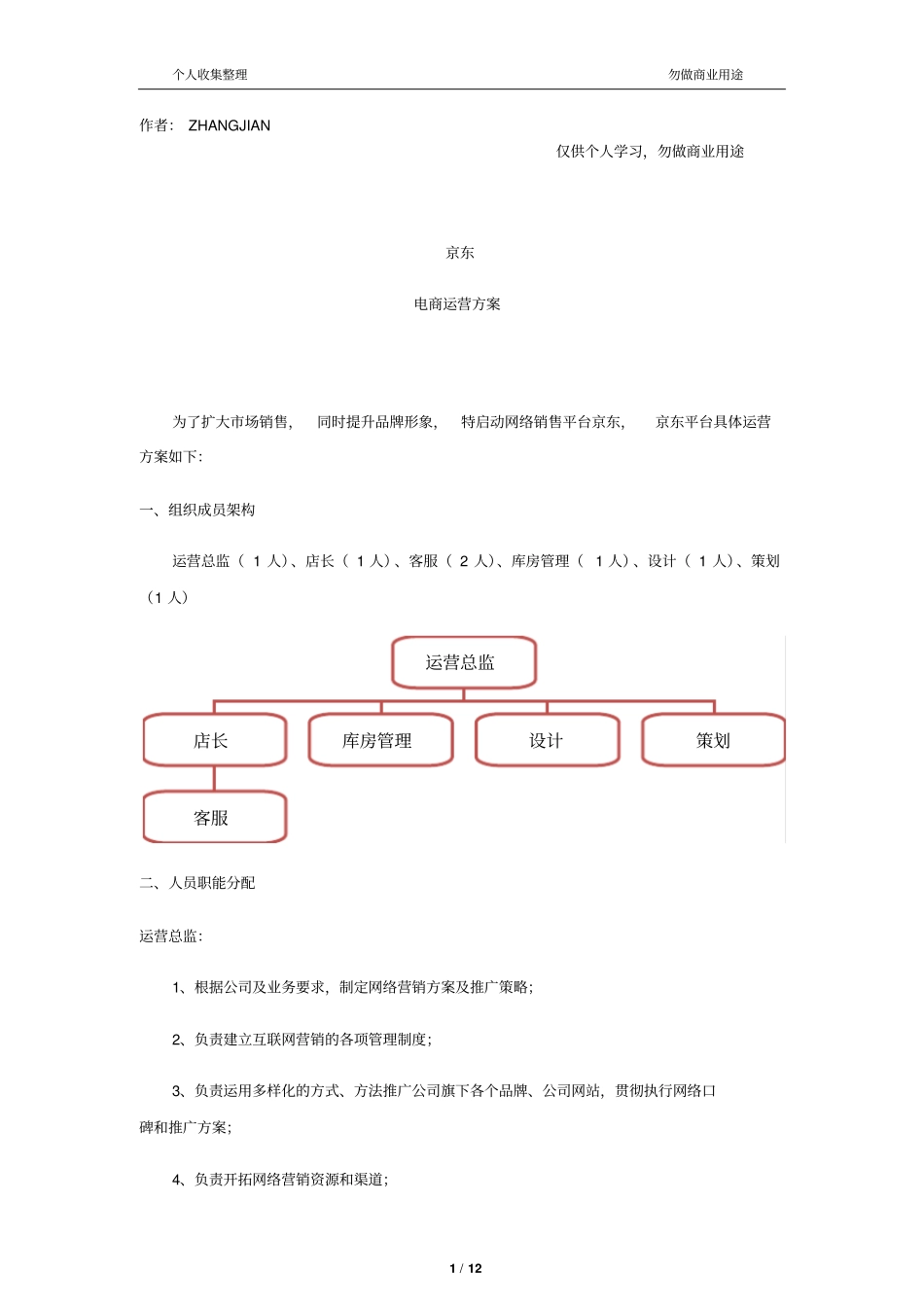 京东电商运营方案17_第1页