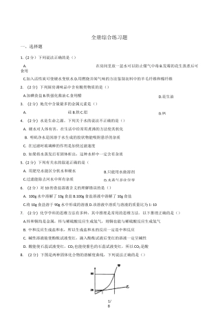 人教版九年级下册化学  全册综合练习题(无答案)
