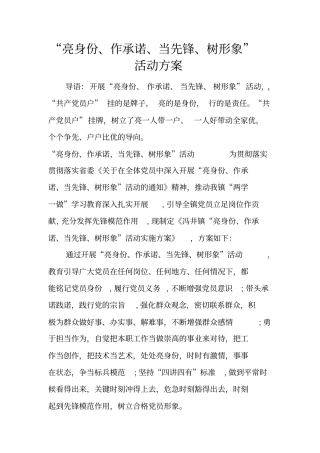 亮身份、作承诺、当先锋、树形象活动方案