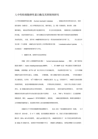 人中性粒细胞弹性蛋白酶与其抑制剂研究